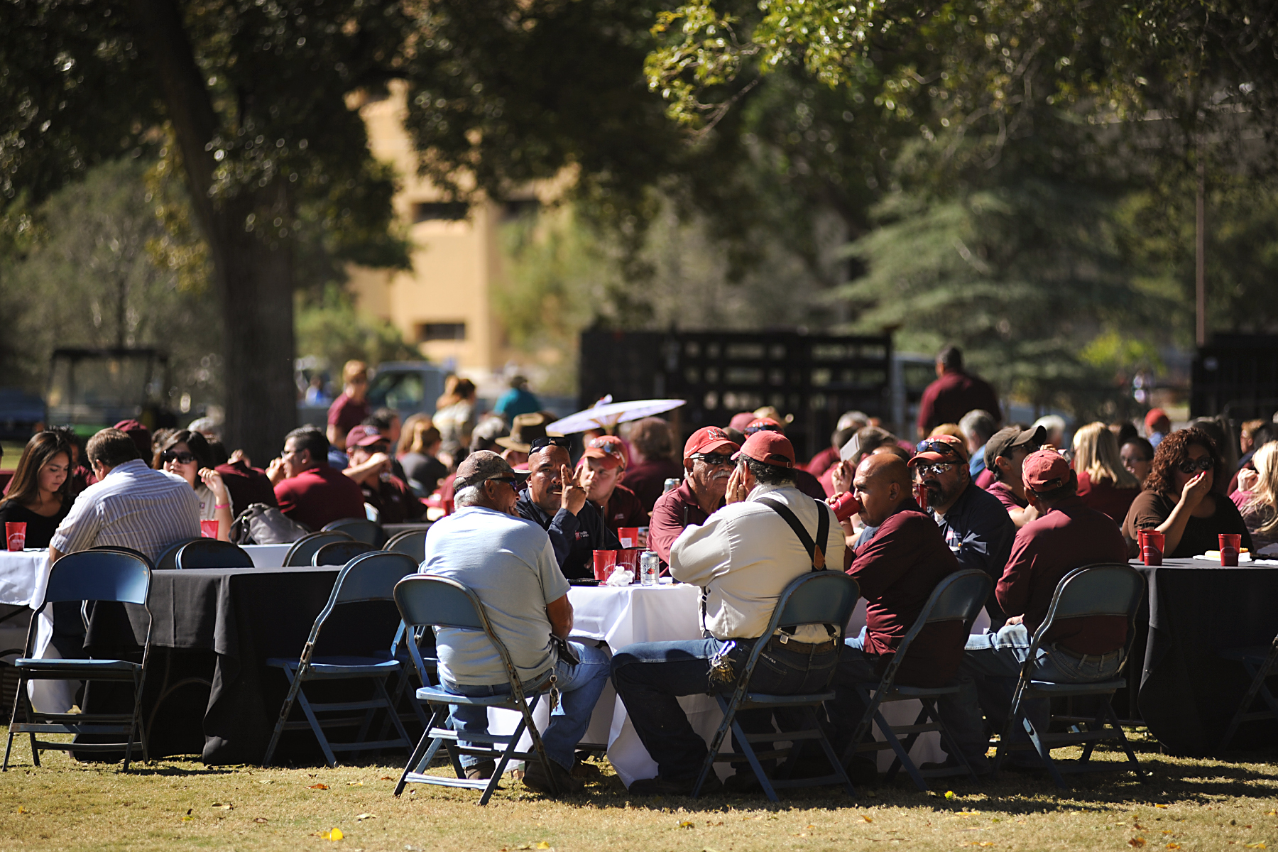 People sitting at tables 