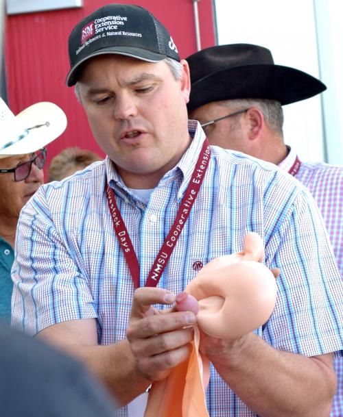 Man in plaid shirt and ball cap