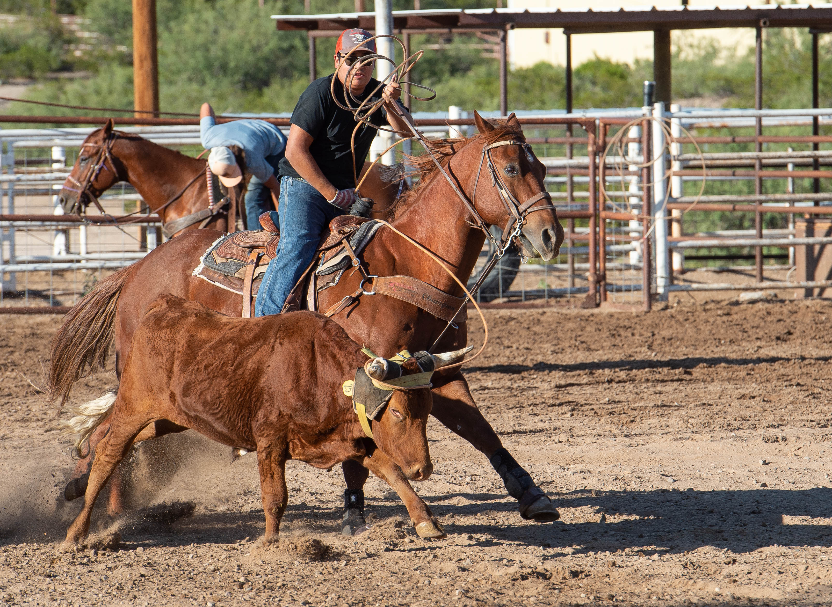 Man practices roping 