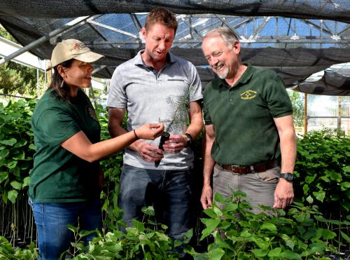 three people looking at seedling