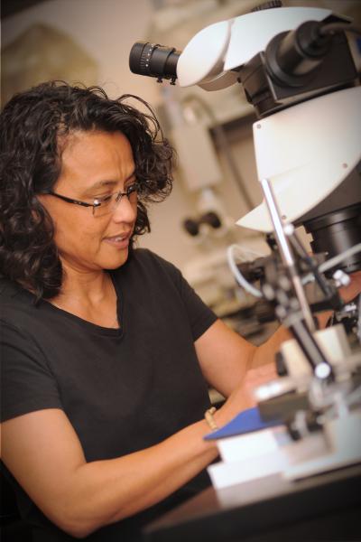 Graciela Unguez sitting at a desk looking through a microscope