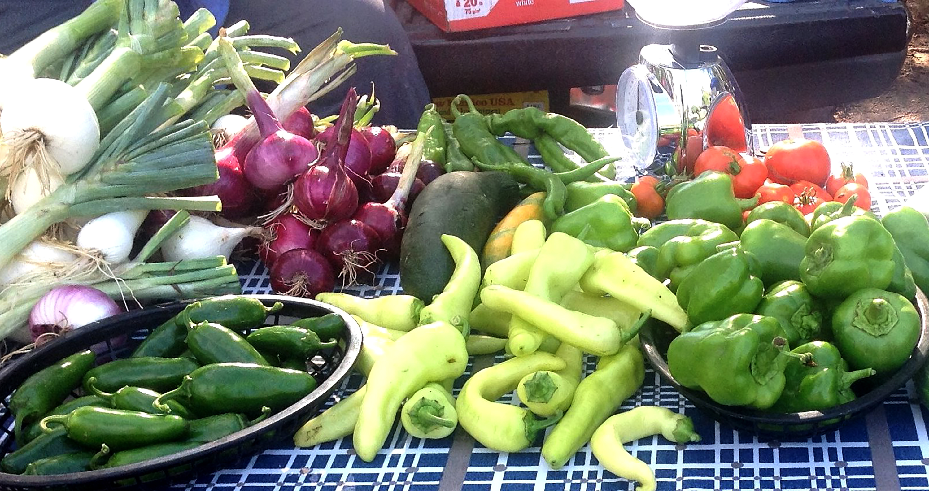 Variety of vegetables on a table