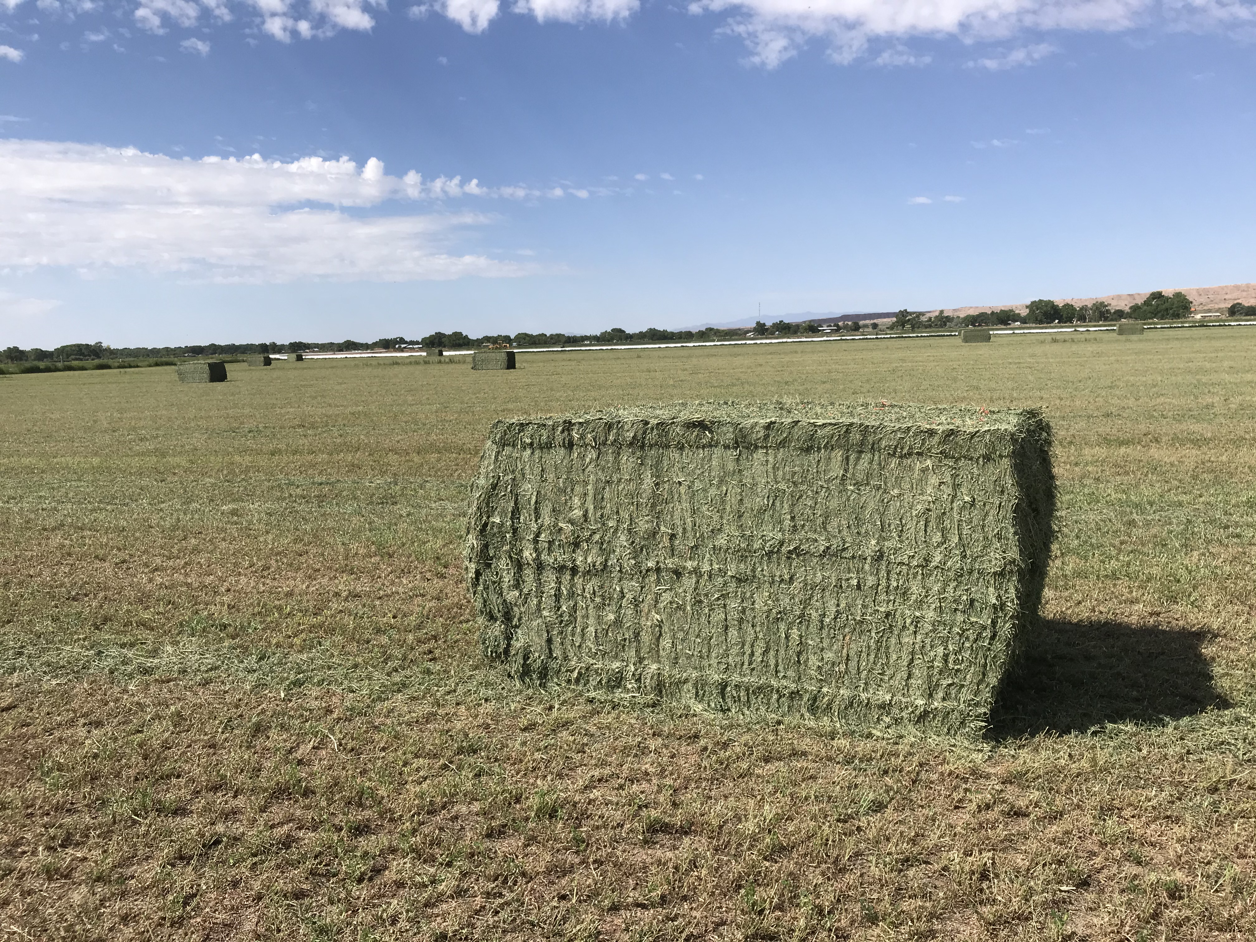 Photo of a hay bale
