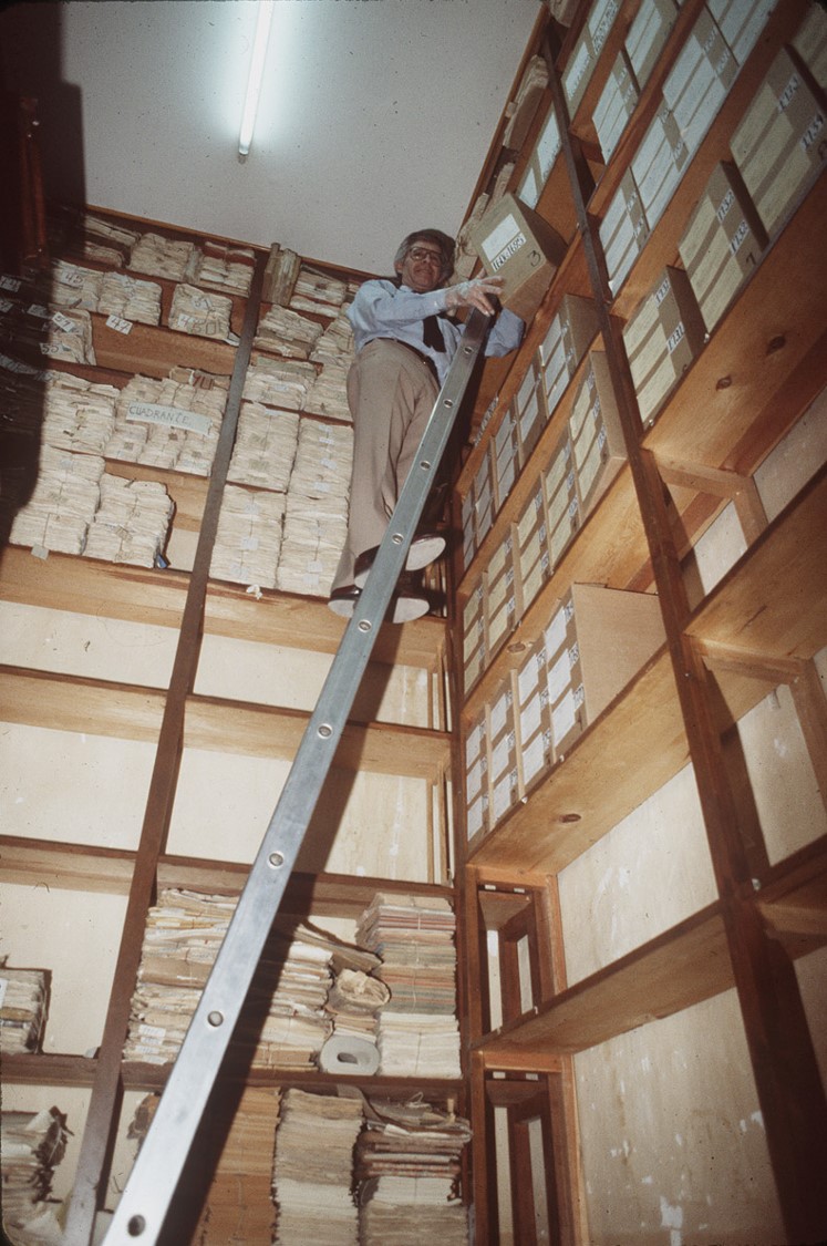 Man standing on a ladder. 
