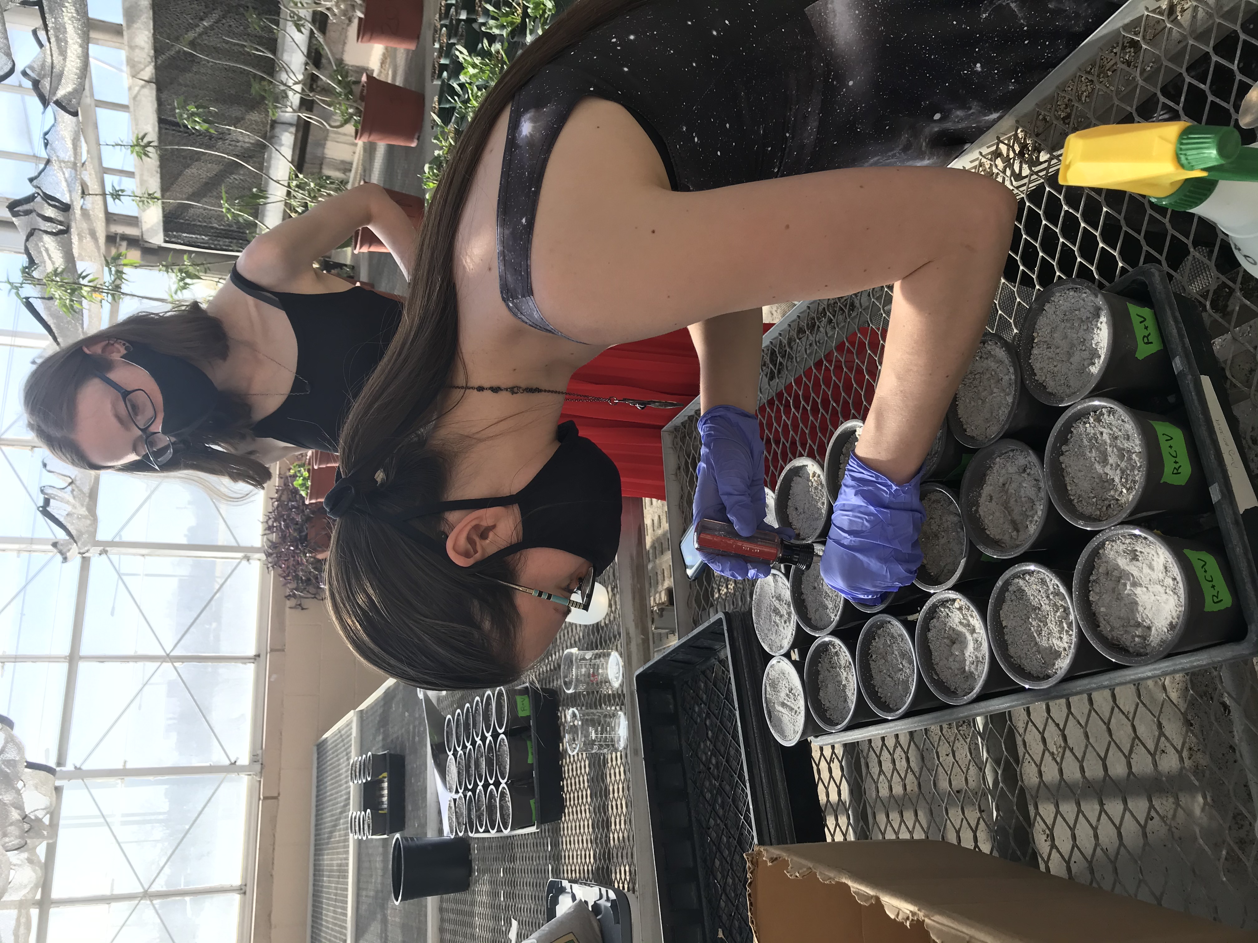 Two women planting seeds