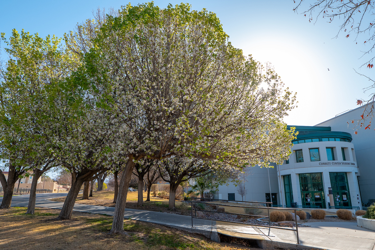 Exterior of Corbett Center