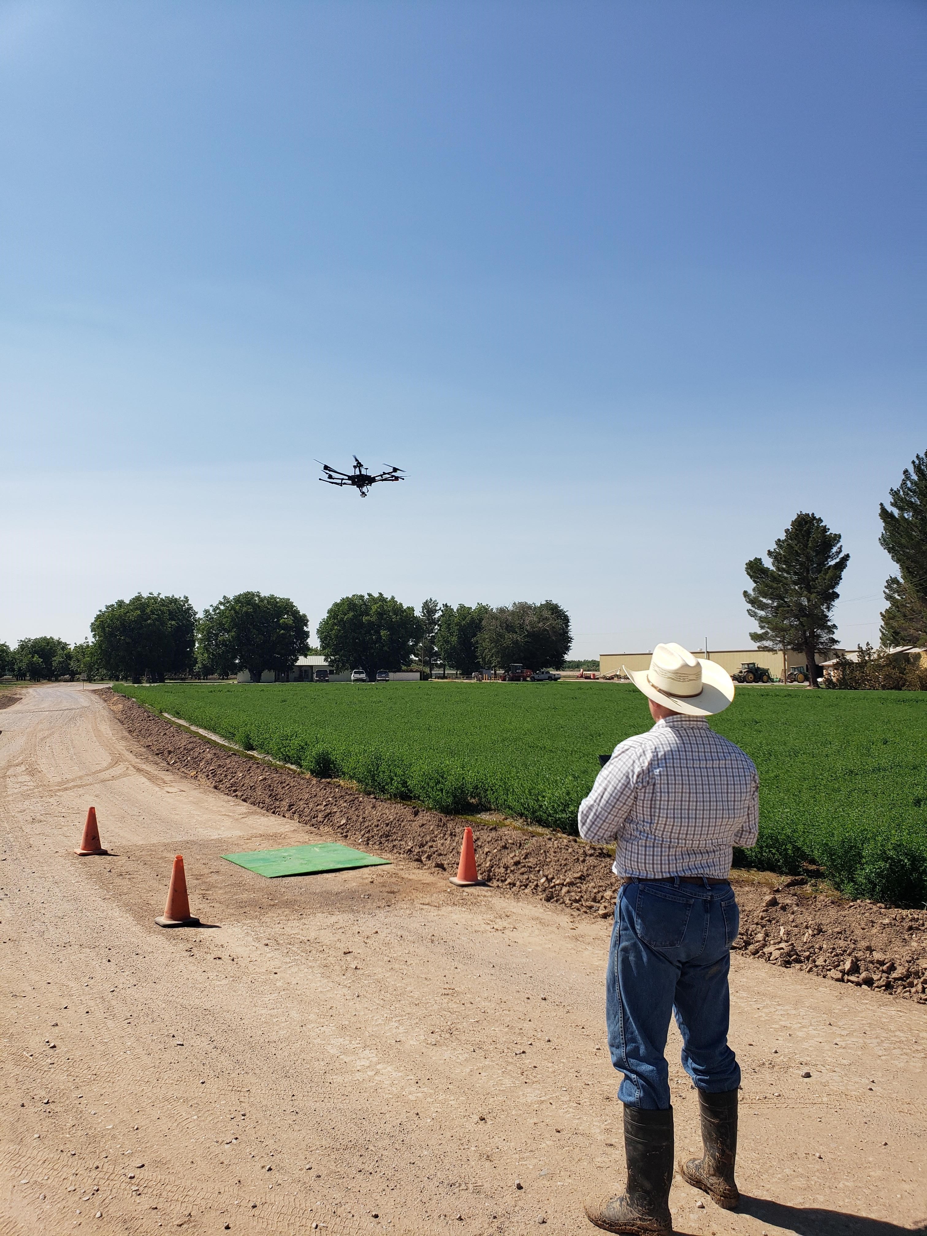 Man operating a drone near a field of green crops