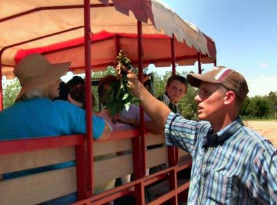 Man showing branch to people in wagon.