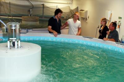 NMSU student researchers discuss their work next to a shrimp tank. 