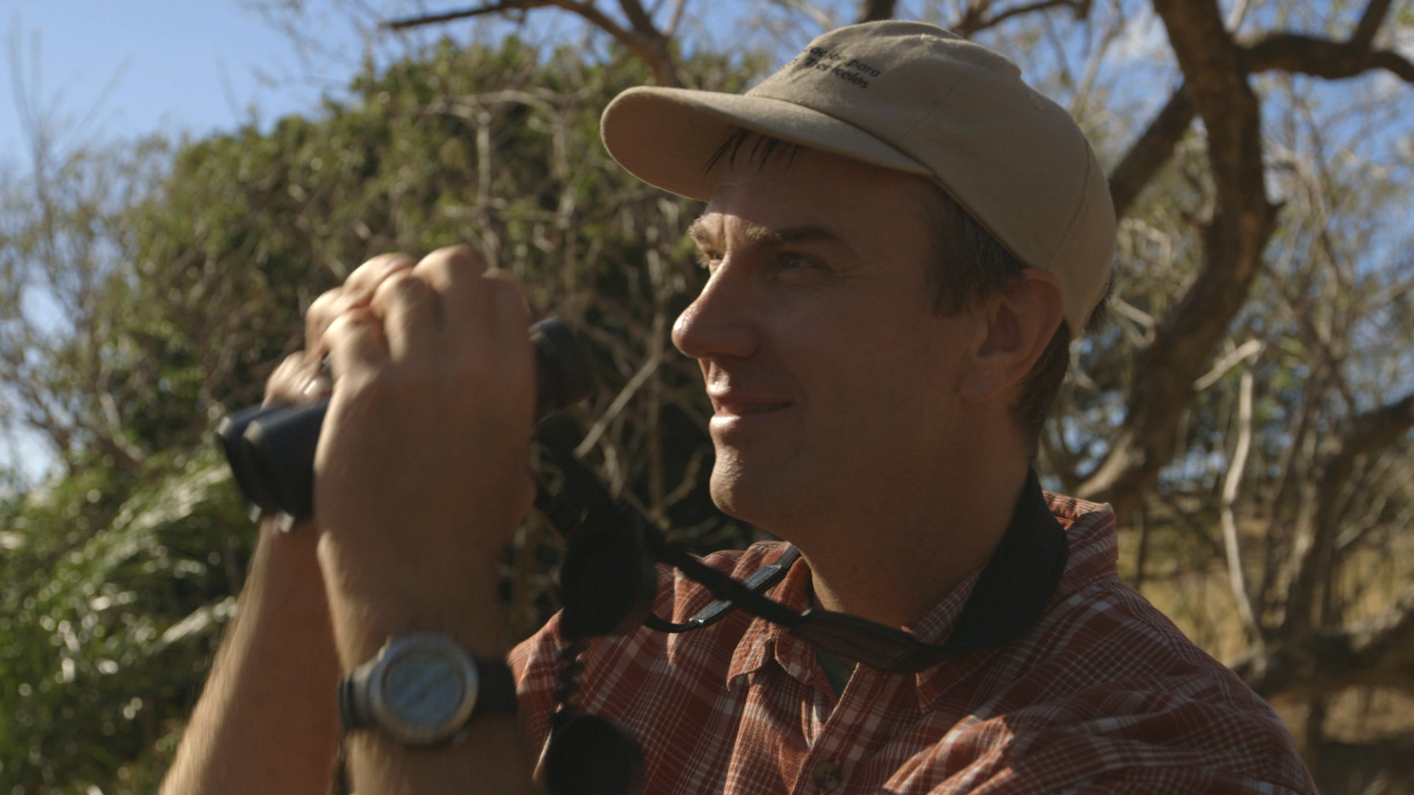 Tim Wright searches for parrots