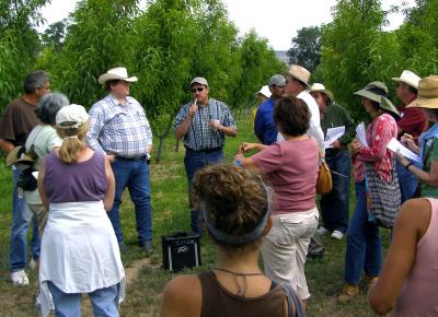 Man standing in orchard with people listening to him 