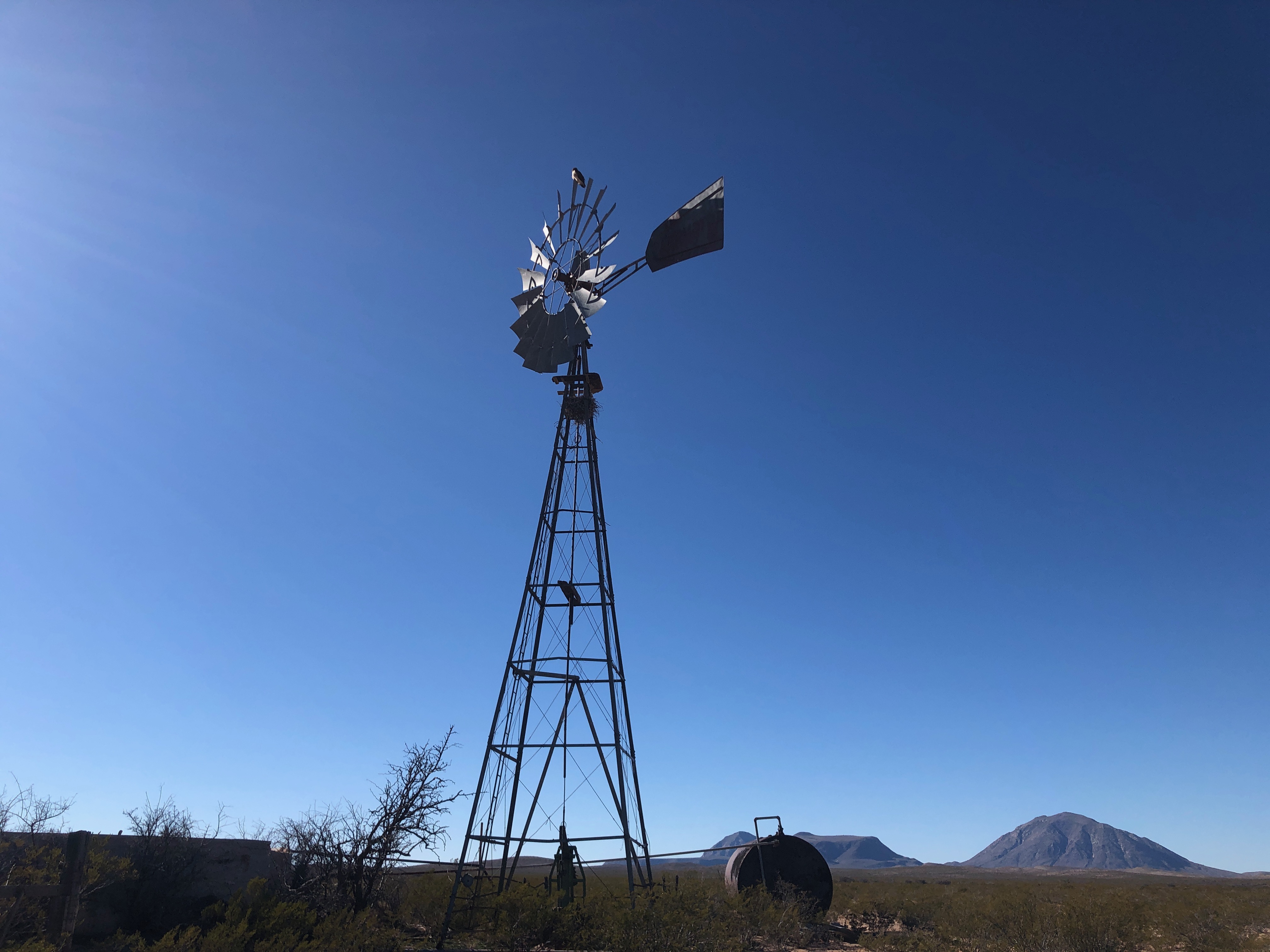 Windmill in pasture with a clear blue sky 