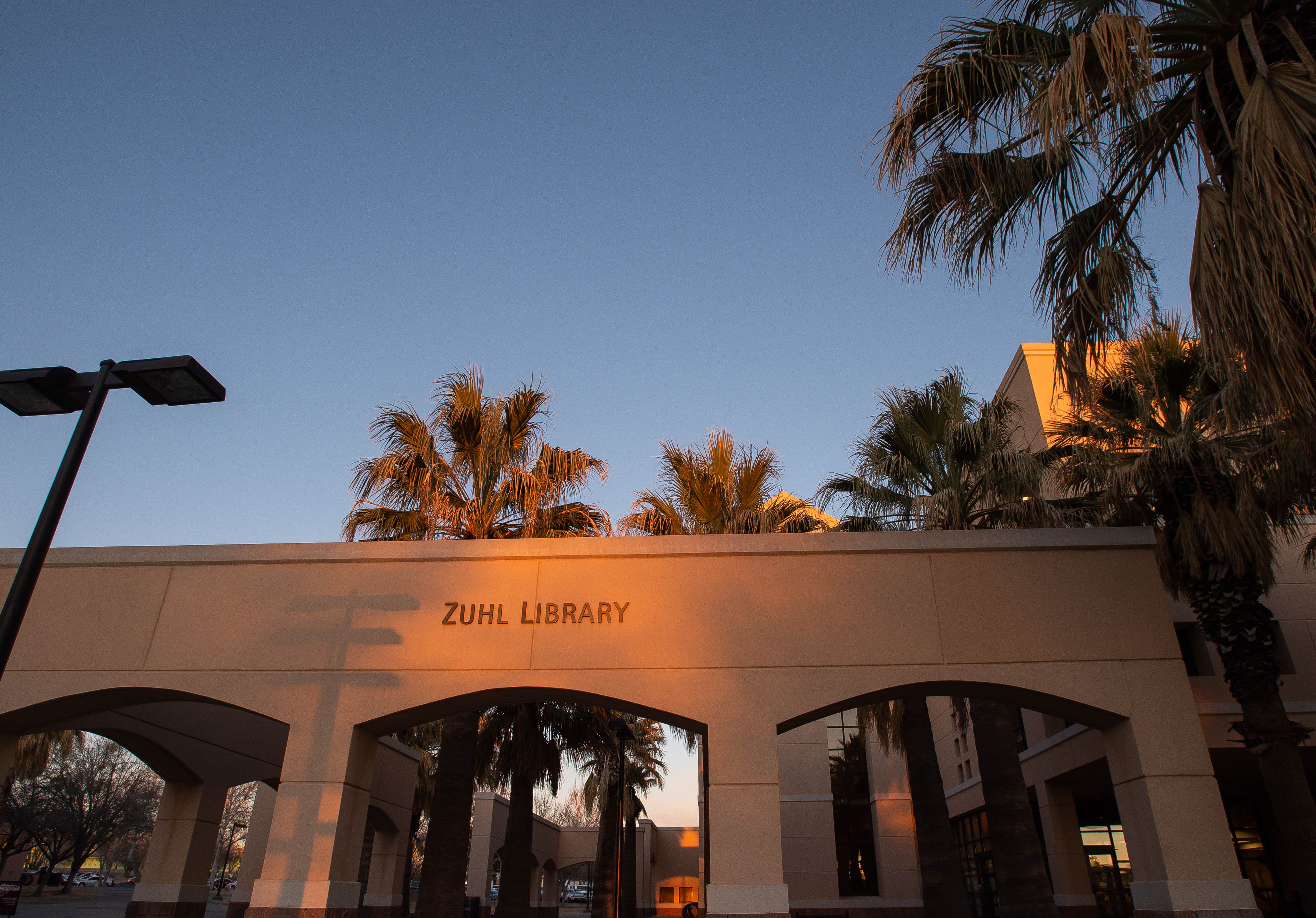 Exterior shot of Zuhl Library