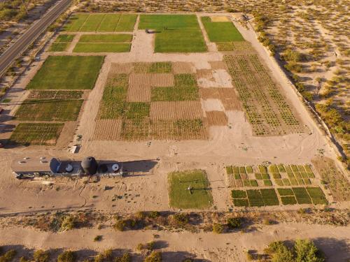 Aerial view of grass plots