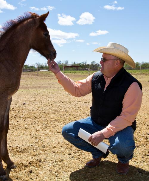 Man with colt