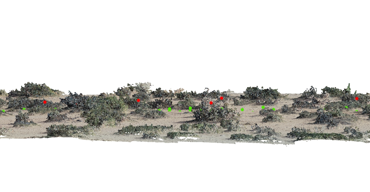 3D image of ecological research site.