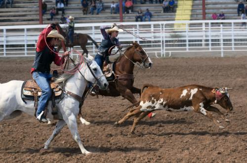  Two student athletes riding horses