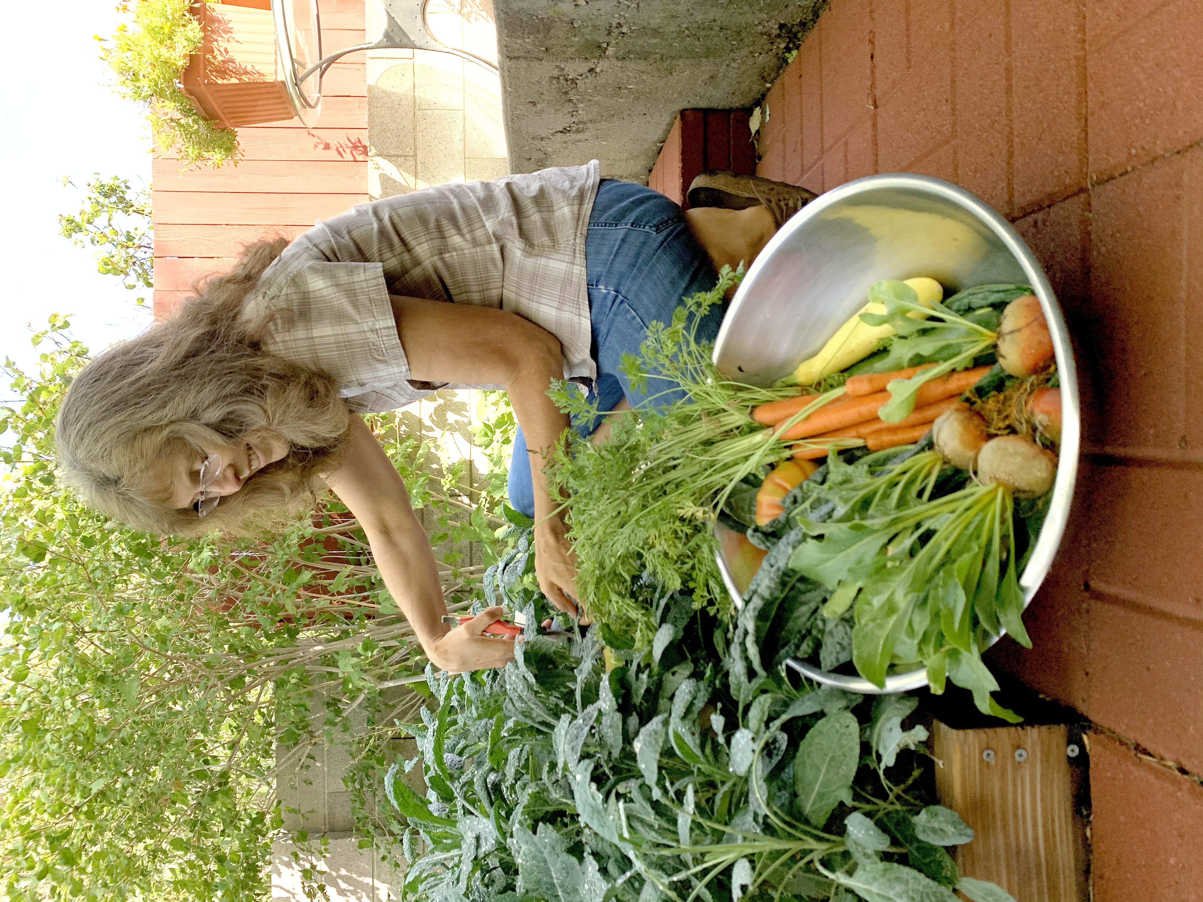 Woman picking vegetables in her back yard