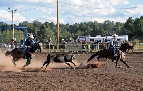 Two men on horses have a steer roped at a rodeo. 