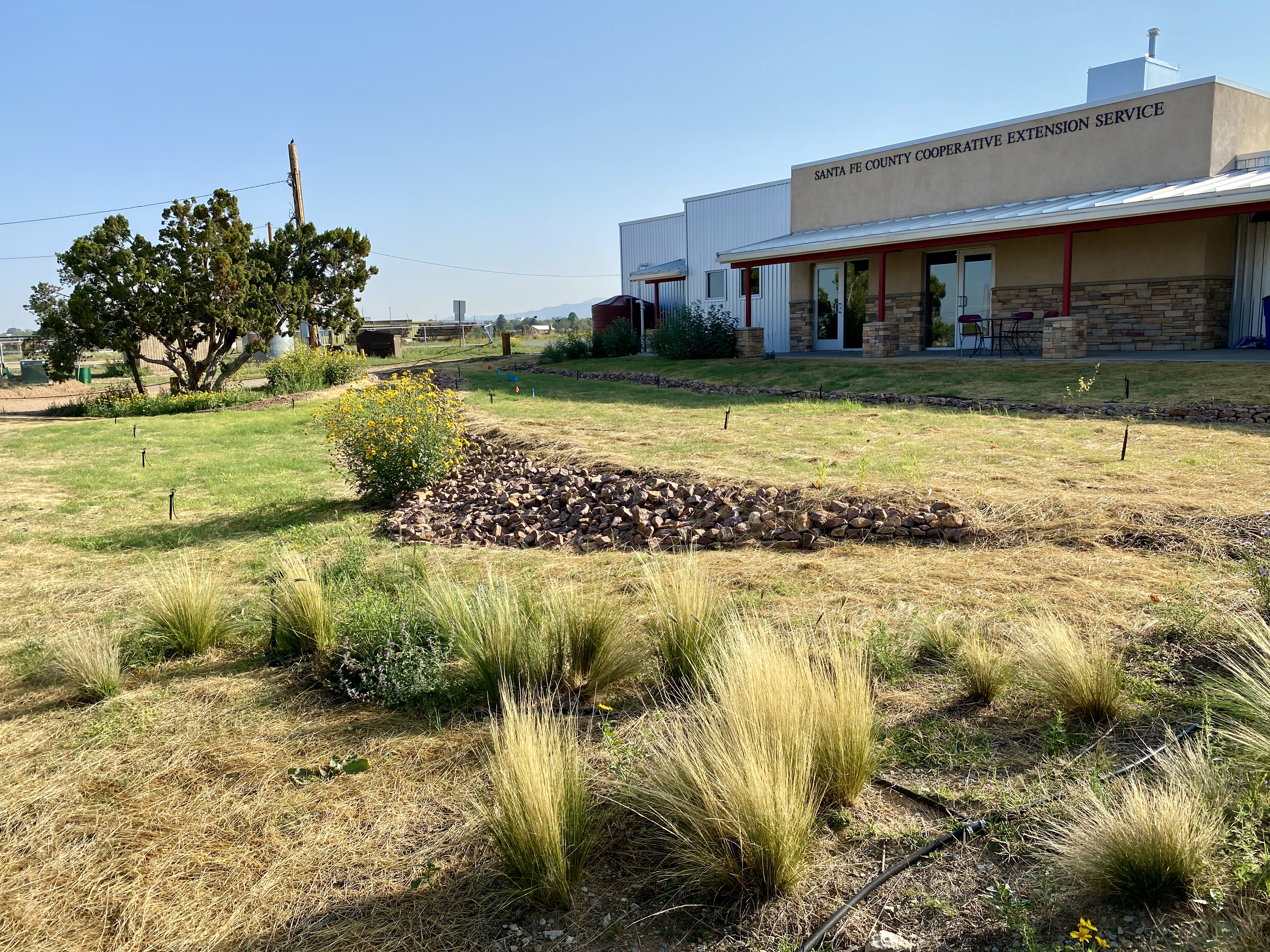 Green grass and plants in front of a building
